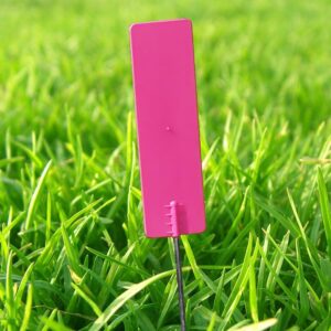 Pin markers Pink