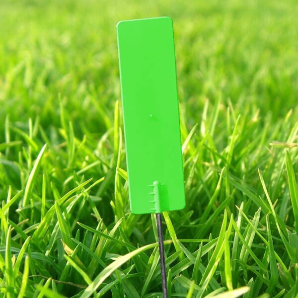 Pin Markers Green